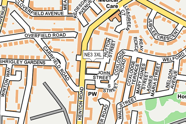 NE3 3XL map - OS OpenMap – Local (Ordnance Survey)