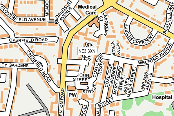 NE3 3XN map - OS OpenMap – Local (Ordnance Survey)