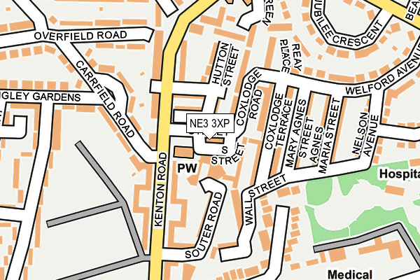 NE3 3XP map - OS OpenMap – Local (Ordnance Survey)