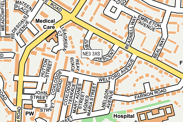 NE3 3XS map - OS OpenMap – Local (Ordnance Survey)