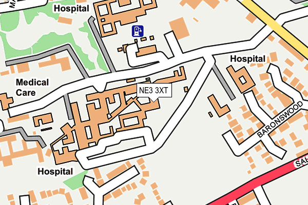 NE3 3XT map - OS OpenMap – Local (Ordnance Survey)