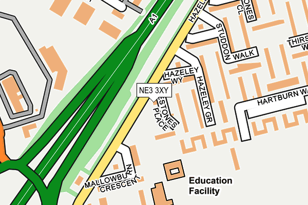 NE3 3XY map - OS OpenMap – Local (Ordnance Survey)