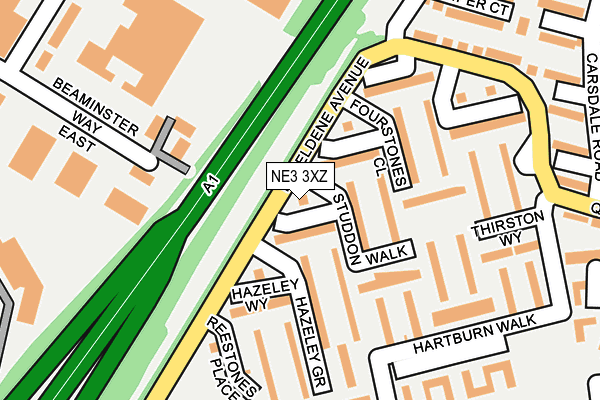 NE3 3XZ map - OS OpenMap – Local (Ordnance Survey)
