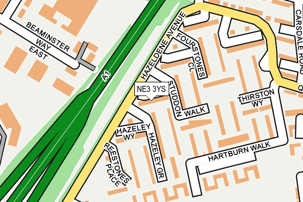NE3 3YS map - OS OpenMap – Local (Ordnance Survey)