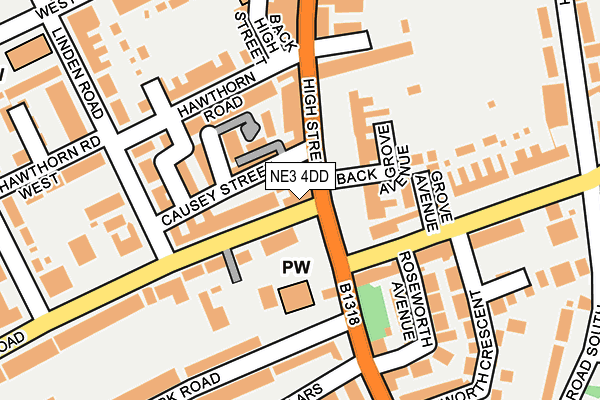 NE3 4DD map - OS OpenMap – Local (Ordnance Survey)