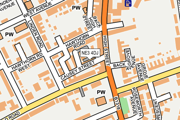 NE3 4DJ map - OS OpenMap – Local (Ordnance Survey)