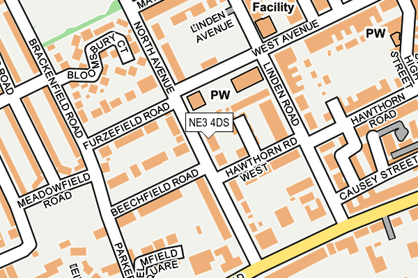NE3 4DS map - OS OpenMap – Local (Ordnance Survey)