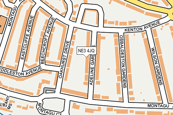 NE3 4JQ map - OS OpenMap – Local (Ordnance Survey)