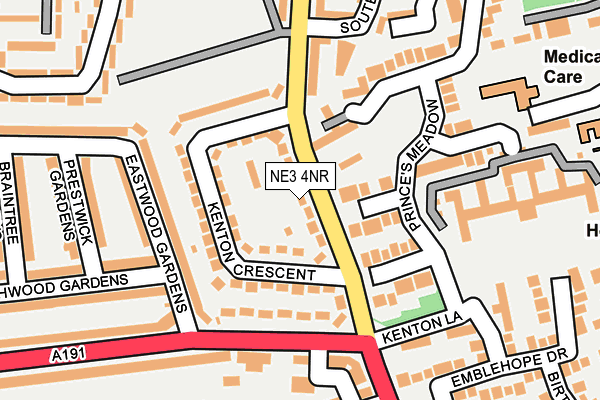 NE3 4NR map - OS OpenMap – Local (Ordnance Survey)