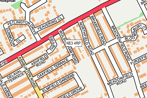 NE3 4RP map - OS OpenMap – Local (Ordnance Survey)