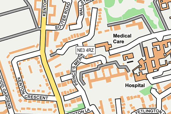 NE3 4RZ map - OS OpenMap – Local (Ordnance Survey)