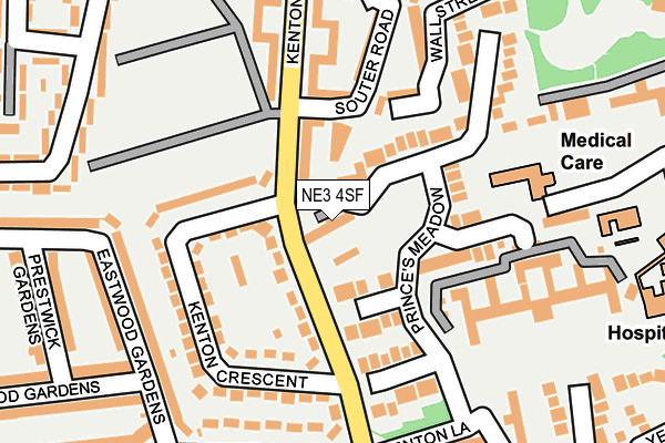 NE3 4SF map - OS OpenMap – Local (Ordnance Survey)
