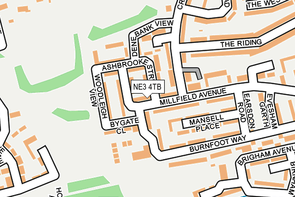 NE3 4TB map - OS OpenMap – Local (Ordnance Survey)