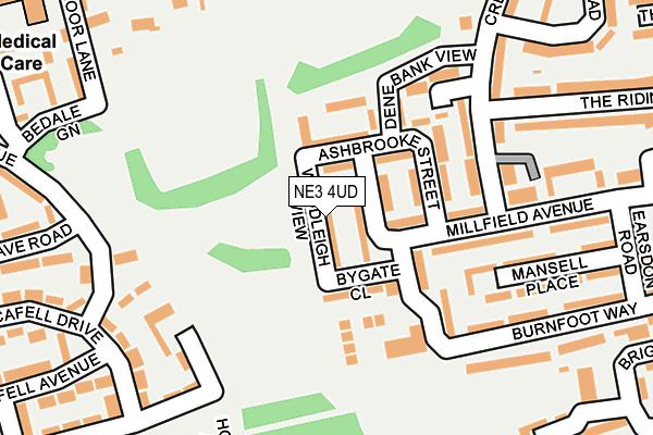 NE3 4UD map - OS OpenMap – Local (Ordnance Survey)
