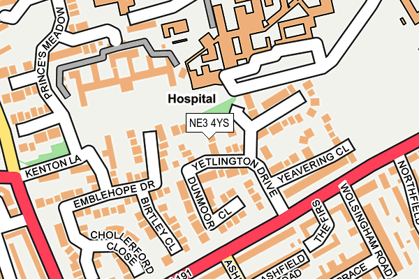 NE3 4YS map - OS OpenMap – Local (Ordnance Survey)