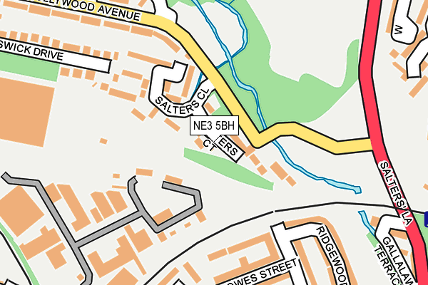 NE3 5BH map - OS OpenMap – Local (Ordnance Survey)