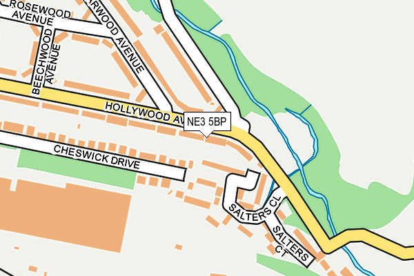 NE3 5BP map - OS OpenMap – Local (Ordnance Survey)