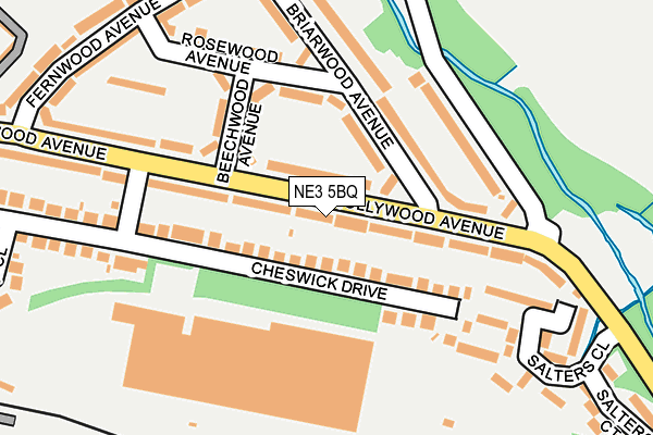 NE3 5BQ map - OS OpenMap – Local (Ordnance Survey)