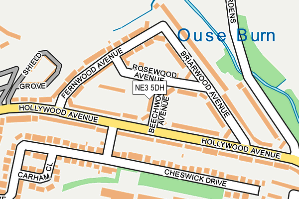 NE3 5DH map - OS OpenMap – Local (Ordnance Survey)