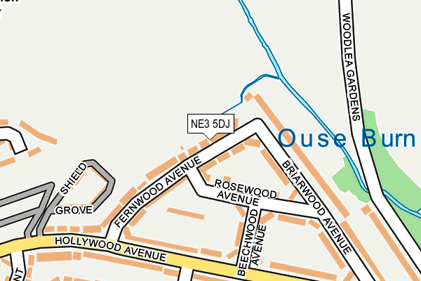 NE3 5DJ map - OS OpenMap – Local (Ordnance Survey)