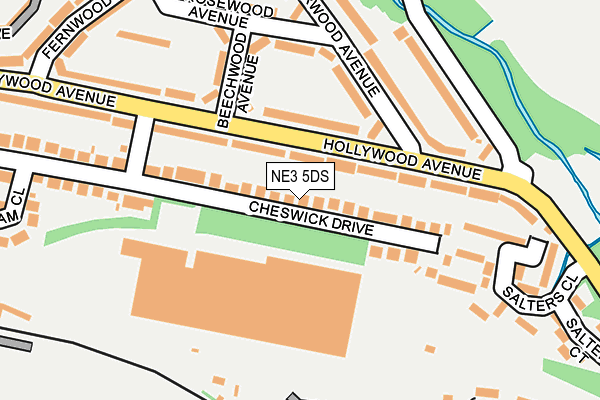 NE3 5DS map - OS OpenMap – Local (Ordnance Survey)