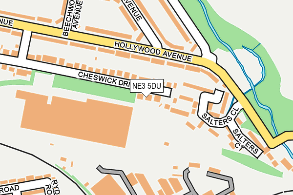 NE3 5DU map - OS OpenMap – Local (Ordnance Survey)