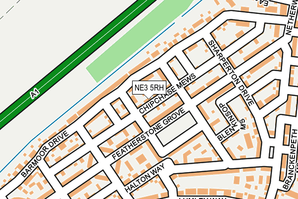 NE3 5RH map - OS OpenMap – Local (Ordnance Survey)
