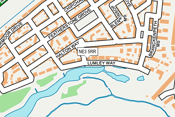 NE3 5RR map - OS OpenMap – Local (Ordnance Survey)