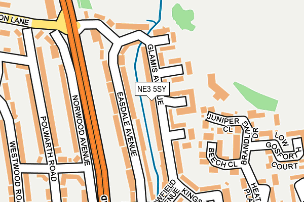 NE3 5SY map - OS OpenMap – Local (Ordnance Survey)