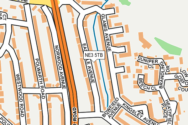 NE3 5TB map - OS OpenMap – Local (Ordnance Survey)