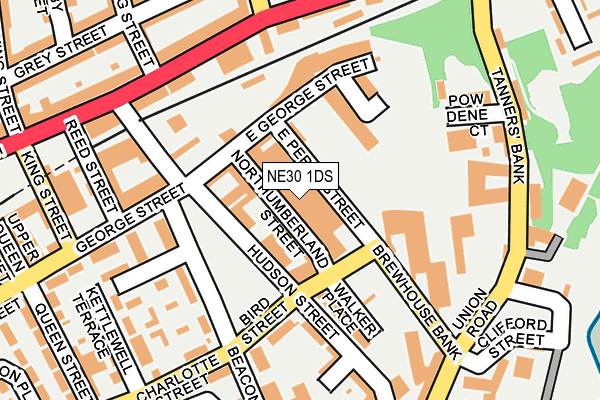 NE30 1DS map - OS OpenMap – Local (Ordnance Survey)