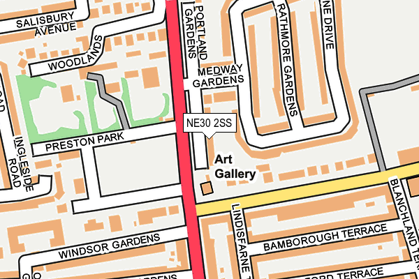 NE30 2SS map - OS OpenMap – Local (Ordnance Survey)