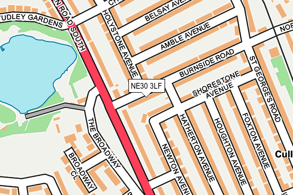 NE30 3LF map - OS OpenMap – Local (Ordnance Survey)