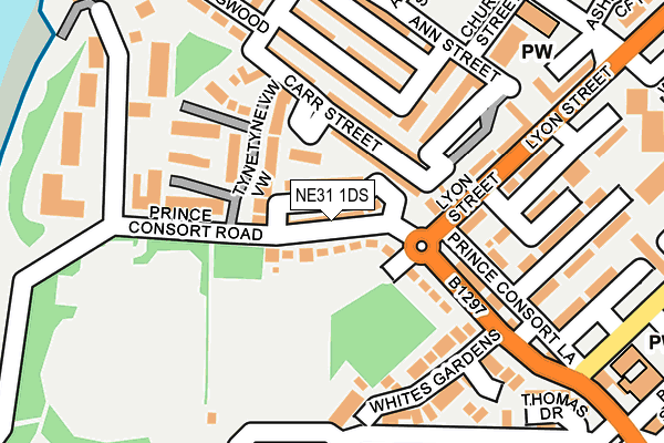 NE31 1DS map - OS OpenMap – Local (Ordnance Survey)