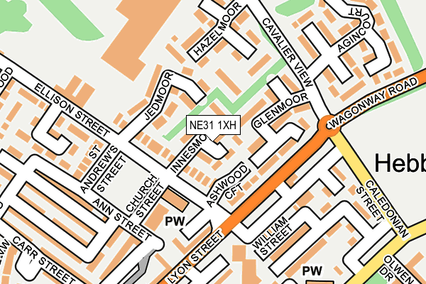 NE31 1XH map - OS OpenMap – Local (Ordnance Survey)