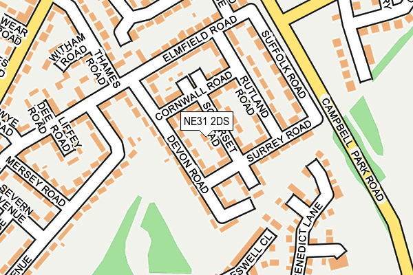 NE31 2DS map - OS OpenMap – Local (Ordnance Survey)