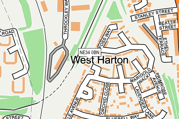 NE34 0BN map - OS OpenMap – Local (Ordnance Survey)