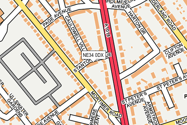 NE34 0DX map - OS OpenMap – Local (Ordnance Survey)