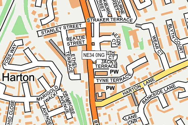 NE34 0NG map - OS OpenMap – Local (Ordnance Survey)