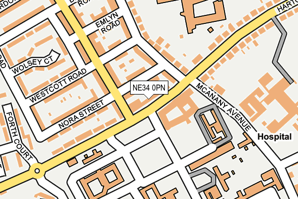 NE34 0PN map - OS OpenMap – Local (Ordnance Survey)