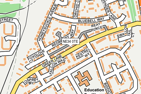 NE34 0TE map - OS OpenMap – Local (Ordnance Survey)