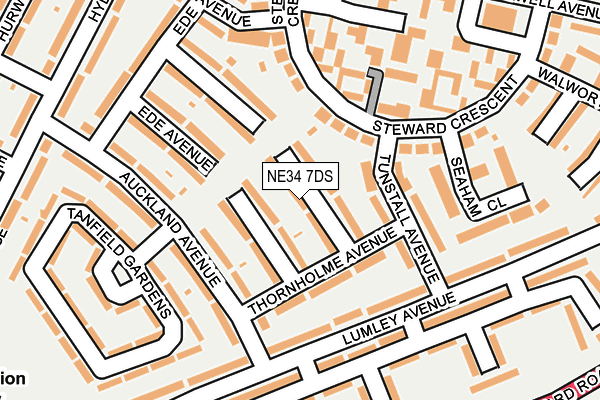 NE34 7DS map - OS OpenMap – Local (Ordnance Survey)