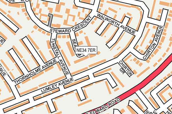 NE34 7ER map - OS OpenMap – Local (Ordnance Survey)