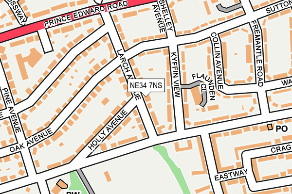 NE34 7NS map - OS OpenMap – Local (Ordnance Survey)