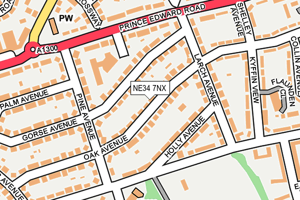 NE34 7NX map - OS OpenMap – Local (Ordnance Survey)