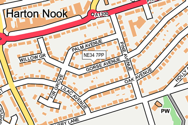 NE34 7PP map - OS OpenMap – Local (Ordnance Survey)