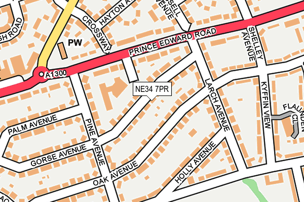 NE34 7PR map - OS OpenMap – Local (Ordnance Survey)