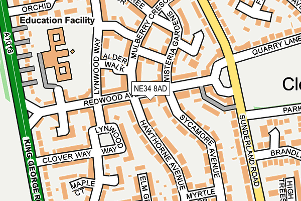 NE34 8AD map - OS OpenMap – Local (Ordnance Survey)