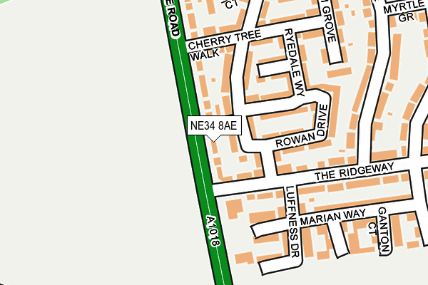 NE34 8AE map - OS OpenMap – Local (Ordnance Survey)