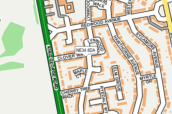 NE34 8DA map - OS OpenMap – Local (Ordnance Survey)